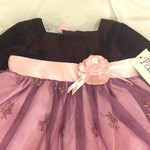 Baby Velvet, Tulle, Brown, and Pink Dress Size 6M